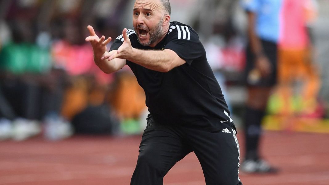 Belmadi Belmadi