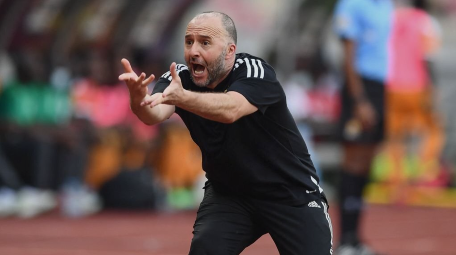 Belmadi Belmadi