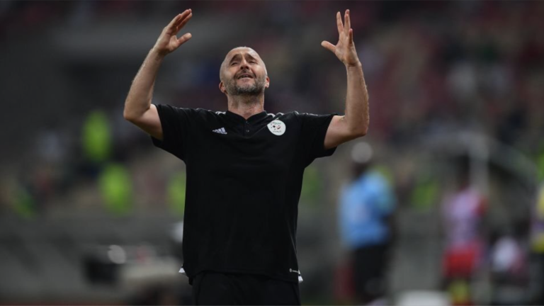 Belmadi Belmadi