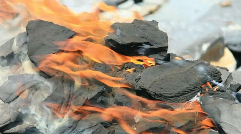 Gaz Algerie Gaz Algerie