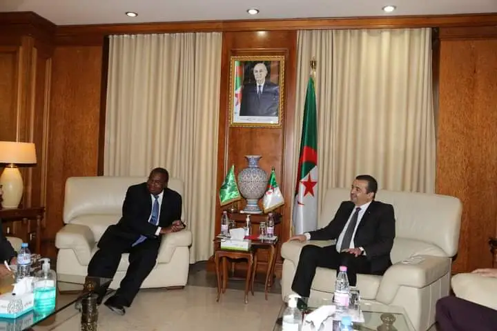 algérie afrique algérie afrique