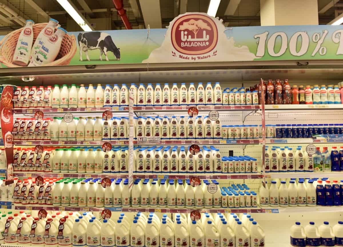 Production de lait : le groupe qatari Baladna veut investir en Algérie