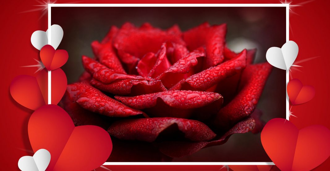 fête de la Saint-Valentin fête de la Saint-Valentin