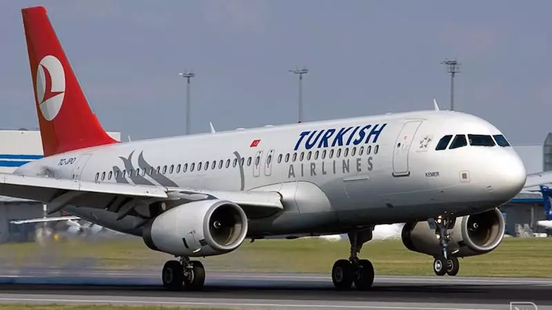 Évasion avortée et Détournement de vol Chaos à Bord d'un Vol Turkish Airlines en Direction d'Alger Évasion avortée et Détournement de vol : Chaos à Bord d'un Vol Turkish Airlines en Direction d'Alger