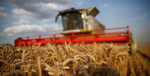 La France Évincée Le Blé Russe Conquiert l'Afrique du Nord La France Évincée : Le Blé Russe Conquiert l'Afrique du Nord