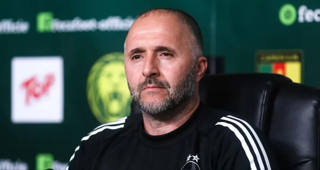 Problèmes de Riche pour Belmadi Chaibi Analyse les Enjeux à Venir Problèmes de Riche pour Belmadi : Chaibi Analyse les Enjeux à Venir