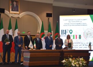 Investissements Italiens en Algérie : Quand Leonardo et BF Misent sur l’Agriculture du Futur Investissements Italiens en Algérie : Quand Leonardo et BF Misent sur l’Agriculture du Futur