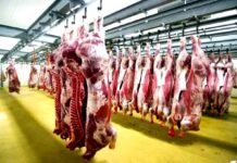 L’Algérie à la recherche de viande rouge : l’élevage en crise face à la sécheresse et au manque de fourrages L’Algérie à la recherche de viande rouge : l’élevage en crise face à la sécheresse et au manque de fourrages