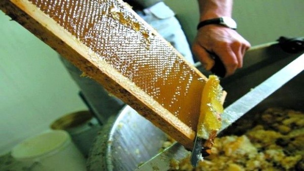 Marché du miel en Algérie une croissance spectaculaire malgré les défis Marché du miel en Algérie : une croissance spectaculaire malgré les défis