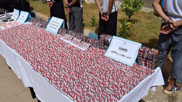 Illustration saisie psychotropes Prégabaline cachés dans mouton par police Alger Pêcherie