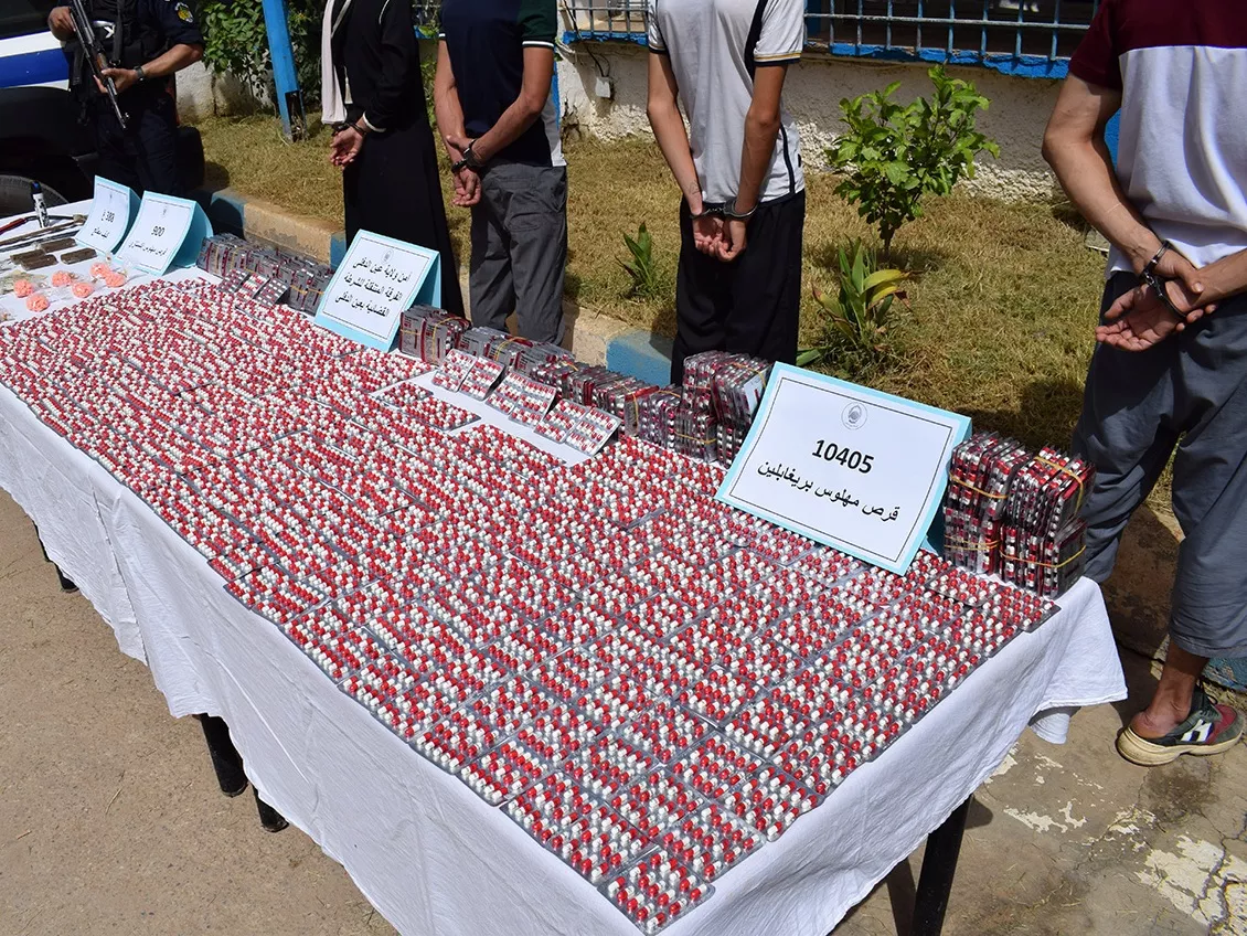 Illustration saisie psychotropes Prégabaline cachés dans mouton par police Alger Pêcherie