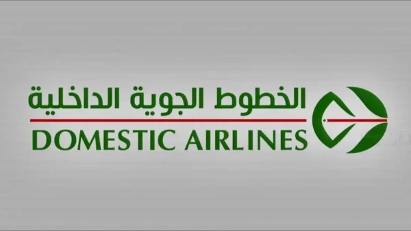 Avion Domestic Airlines filiale Air Algérie sur le tarmac