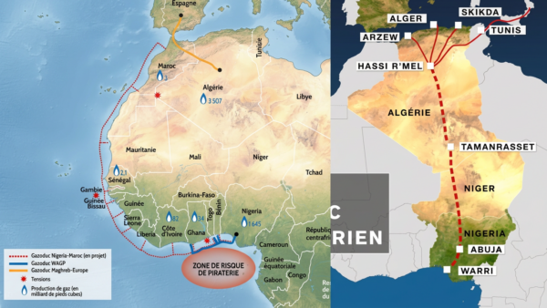 Carte du tracé du gazoduc Nigeria-Maroc longeant la côte atlantique africaine, avec localisation du gisement offshore Grand Tortue Ahmeyim entre le Sénégal et la Mauritanie.