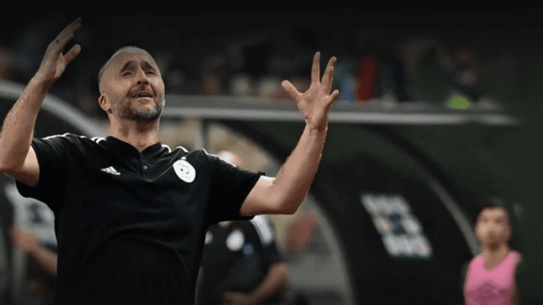 Belmadi