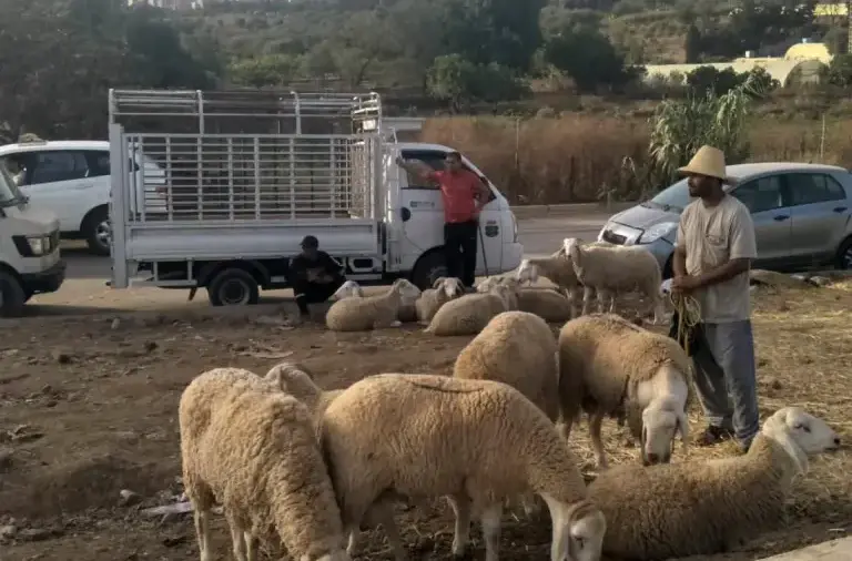 Aïd al-Adha