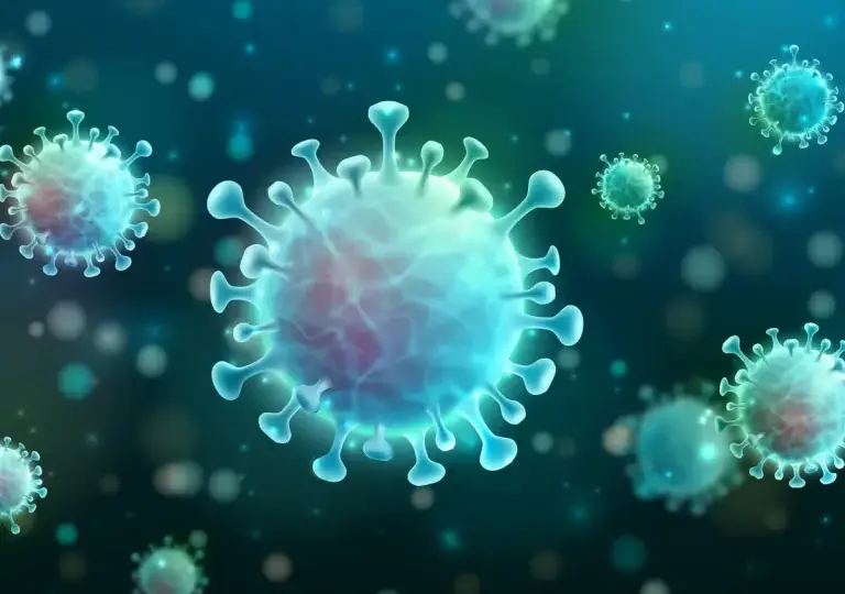 Le dernier bilan du Corona virus en Algérie