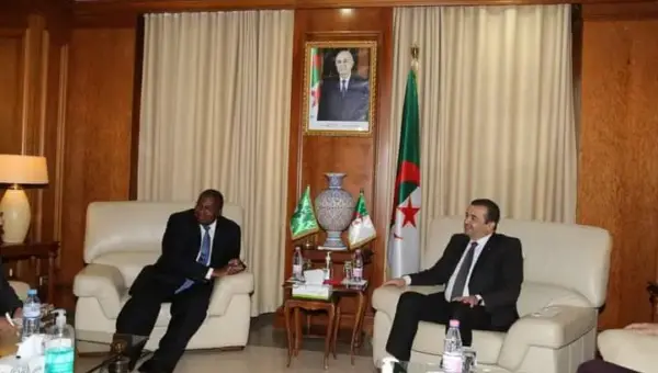 Le ministre de l&rsquo;Energie s&rsquo;entretient avec le commissaire de l&rsquo;Union africaine au développement économique