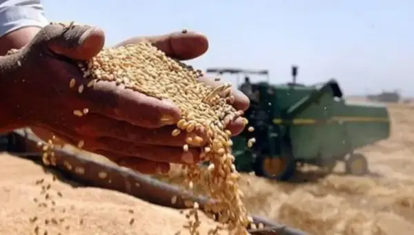 La Russie s&rsquo;apprête à livrer une cargaison de blé à l&rsquo;Algérie