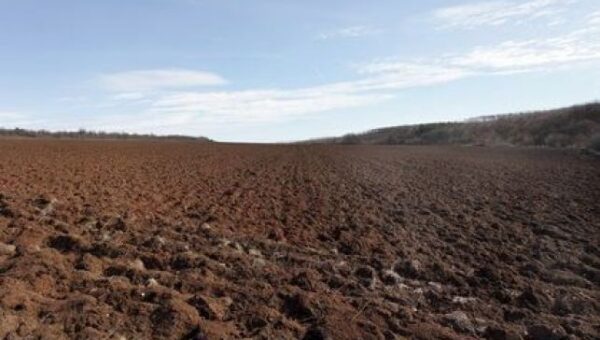 Agriculture : l’État octroie 85 000 hectares aux investisseurs