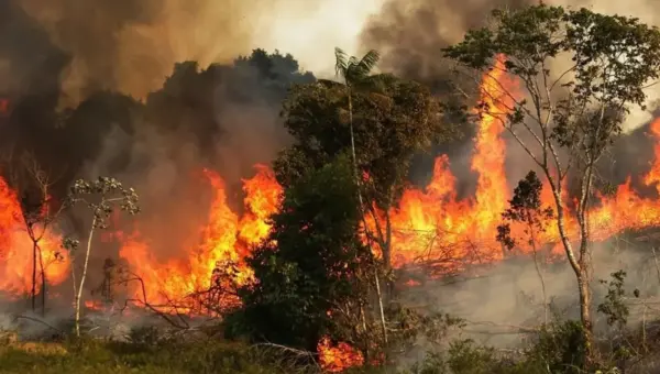 Une nouvelle stratégie de lutte contre les feux de forêt pour éviter le scénario été 2021