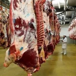 importer de la viande d'Espagne