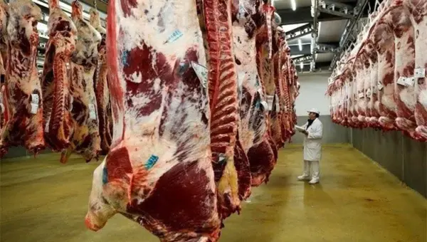 El Pais: l&rsquo;Algérie a cessé d&rsquo;accorder des licences pour importer de la viande d&rsquo;Espagne
