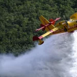 les incendies de forêt