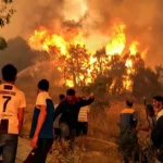 lutter contre les incendies de forêt