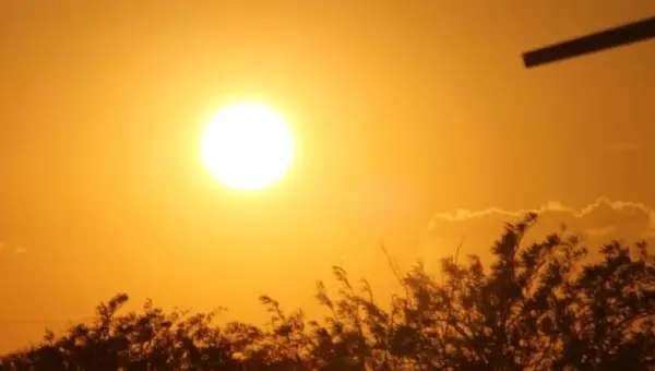 Meteo Algérie: Enregistrement de températures « record » ce vendredi