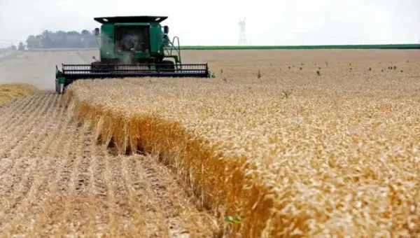 Le ministère de l&rsquo;agriculture annonce une nouvelle procédure au profit des investisseurs du secteur
