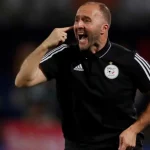 belmadi