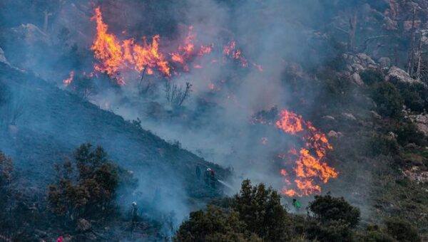 Incendies de forêt : 270 hectares dévastés depuis début juin