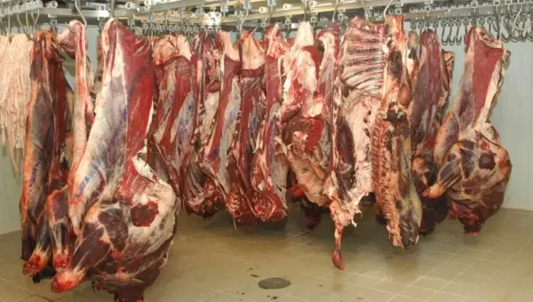Face à la crise avec l&rsquo;Espagne, l&rsquo;Algérie remplace la viande espagnole par la française