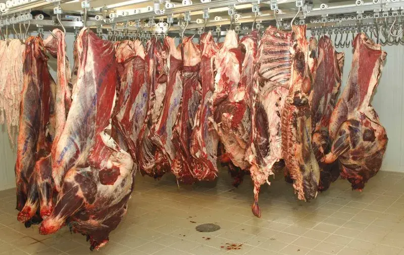 viande