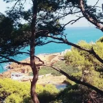 Tipaza