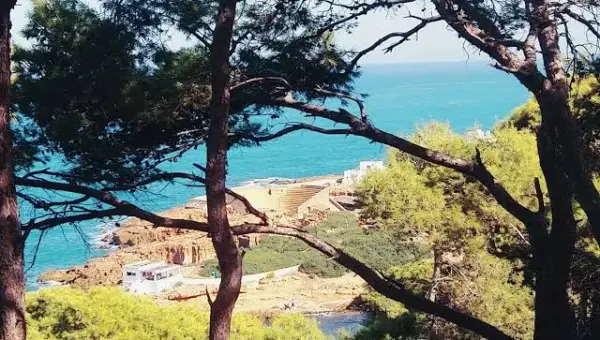 La Wilaya de Tipaza interdit le camping et la randonnée dans les forêts jusqu&rsquo;à cette date