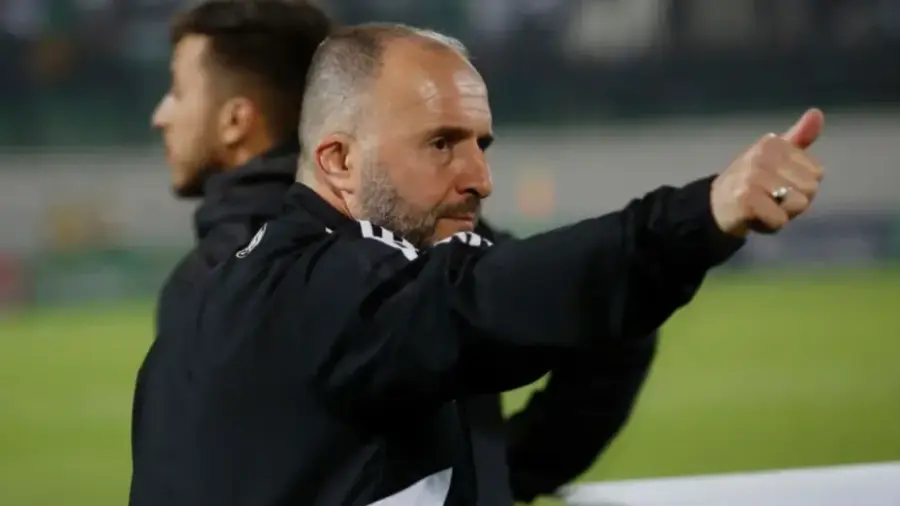 belmadi