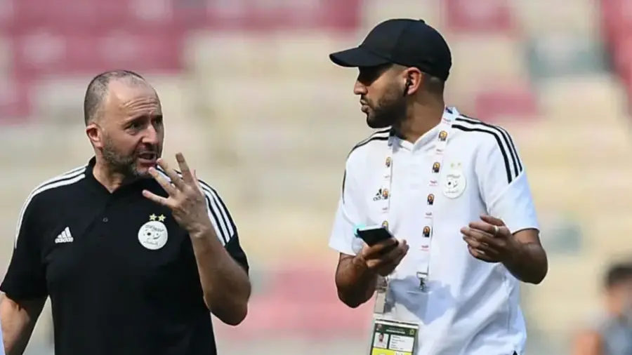 belmadi