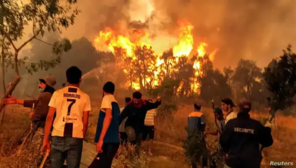 L&rsquo;Algérie décrète »l&rsquo;alerte maximal pour prévenir les Feu de forêt