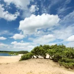 Désert de Lommel en Belgique