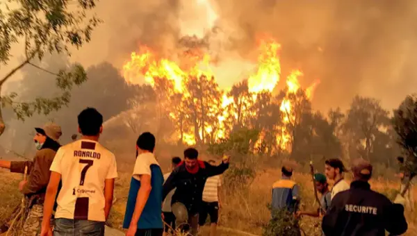 Feu de forêt: Le feu dévore de vastes zones dans l&rsquo;est d&rsquo;Algérie