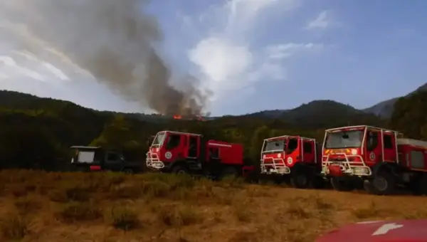 Feu de forêt: Les endroits où des incendies se sont déclarés en Algérie.. jusqu&rsquo;à mercredi