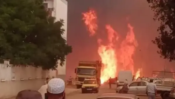 Incendies de foret : Benabderrahmane annonce l&rsquo;indemnisation des sinistrés à partir de la semaine prochaine