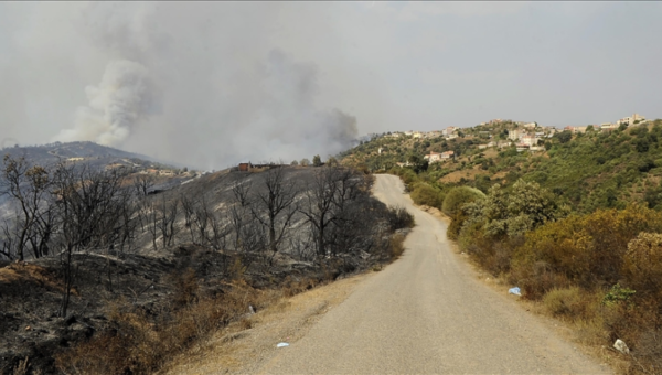 Incendies 2021 : indemnisation de plus de 18 mille agriculteurs touchés à Tizi Ouzou et Béjaïa