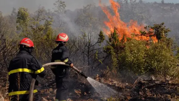 Lutte contre l&rsquo;incendie : un système spécial pour prévoir et identifier les zones qui y sont exposées
