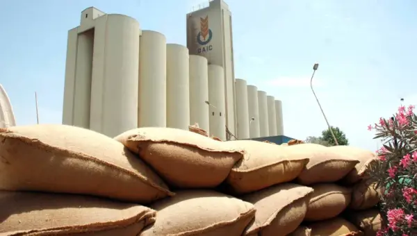 Après la chute des prix, l&rsquo;Algérie acquiert 660 000 tonnes de blé