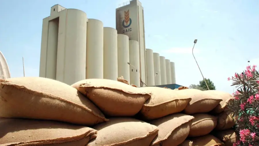 Après la chute des prix, l&rsquo;Algérie acquiert 660 000 tonnes de blé