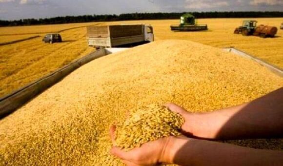 Afin d’assurer la disponibilité de ces matières premières: les céréaliculteurs tenus de livrer leur récoltes aux coopératives