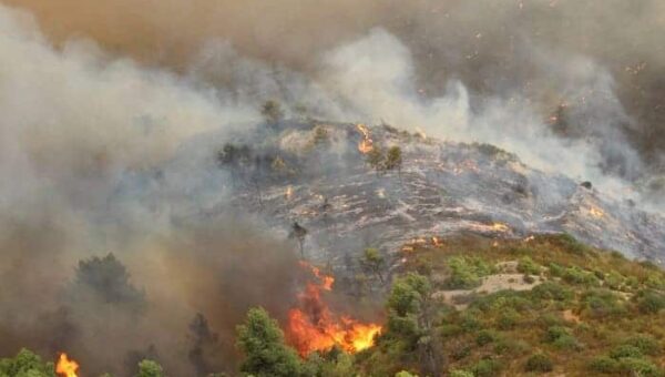 Est du pays : la route reliant El Tarf à El Kala fermée à cause d’un incendie