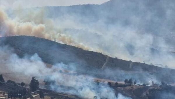 incendies de forêt: ce qu’il faut retenir